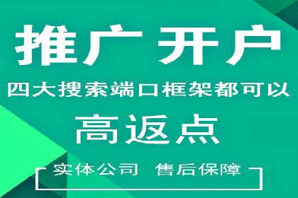百度竞价排名实战：关键词优化与落地页优化案例